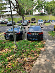 Blk 43 Telok Blangah Rise (Bukit Merah), HDB 3 Rooms #549779441